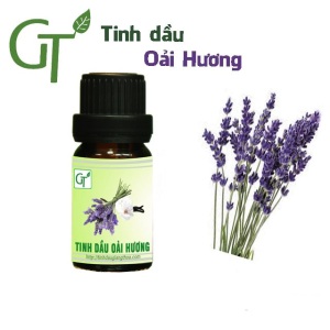 Tinh dầu Lavender (Oải Hương) nguyên chất